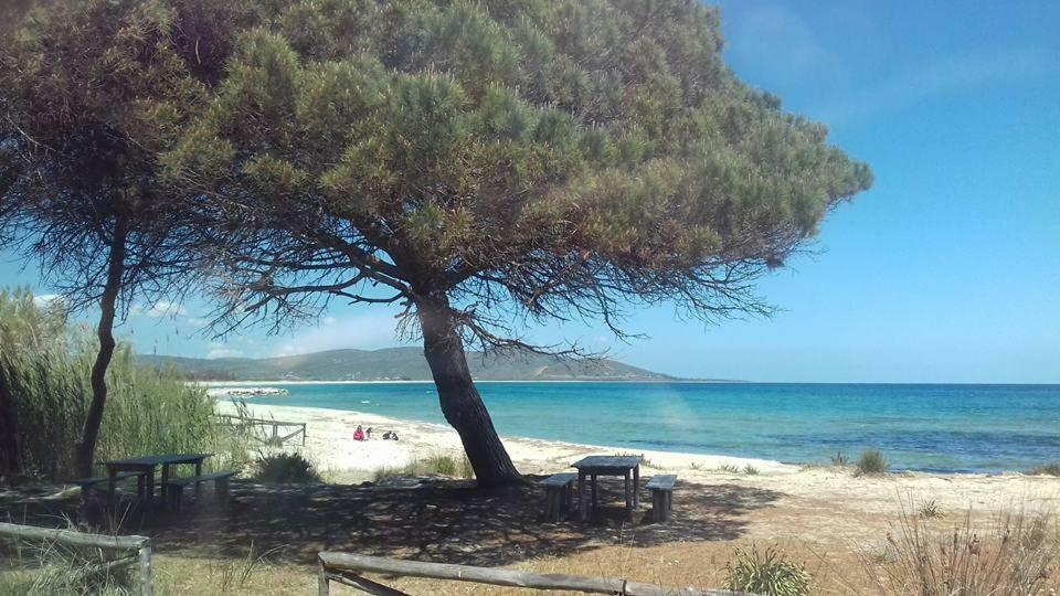 Appartamento Vecchia Pineta San Giovanni  Bagian luar foto
