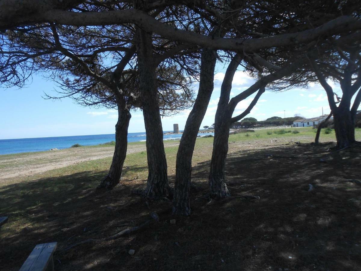 Appartamento Vecchia Pineta San Giovanni  Bagian luar foto